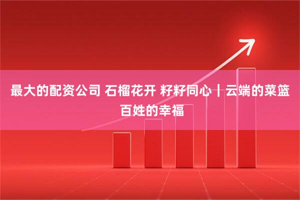 最大的配资公司 石榴花开 籽籽同心｜云端的菜篮 百姓的幸福